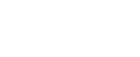 APEX Institute
